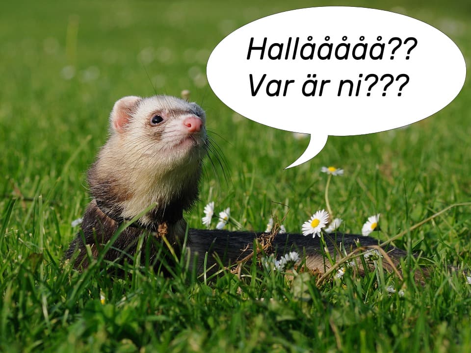 ILLER-FOLK::: KOM TILLBAKA!!!
