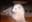 Illern