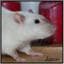 Katrin82