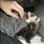 Soot